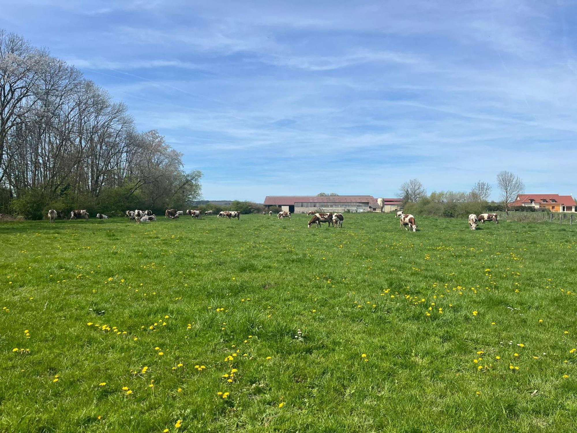 Studio Au Coeur De La Vannerie Fays-Billot 外观 照片
